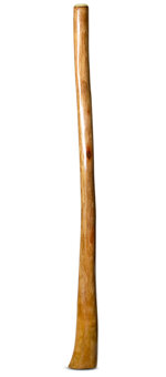 Gloss Finish Flared Didgeridoo (TW1117)